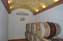 Amarone Della Valpolicella Wine Experience - Meet the Vogadori Family