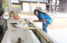 Full-Day Sightseeing to Kyoto Highlights 