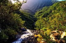 Zen Route - Private & Exclusive Full Day Tour with Lunch Included