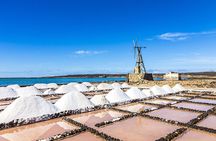 South Route Natural pools, Las Salinas and La Geria