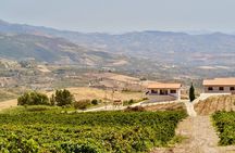 Di Giovanna Winery Tour & 5 Wine Tasting