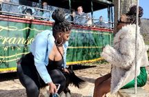 Franschhoek Tram Wine Tasting Full-Day Experience