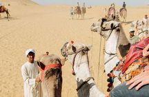 TOP Private ALL INCLUSIVE Pyramids,New Grand museum, Lunch,camel