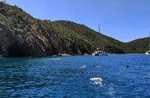 BVI Daytrip on private powerboat with snorkeling
