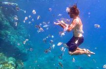 BVI Daytrip on private powerboat with snorkeling