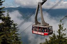 Vancouver's Finest Private Sightseeing Tour