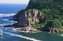 4 Day Pvt Garden Route & Addo National Park Safari From CapeTown