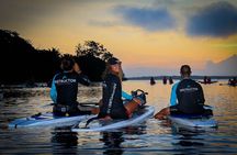 Nature Glide: SUP Across Crystal Waters of Bacalar
