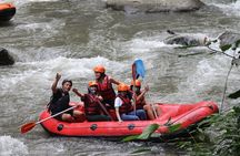 Rafting Swing Monkey Forest And Waterfall Tour All Inclusive