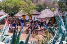 Lesedi Cultural Village Private Tour with Lunch in 4 hours