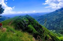 Ella One Day Tour by a Tuk Tuk Or Mini Van