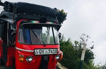 Ella One Day Tour by a Tuk Tuk Or Mini Van