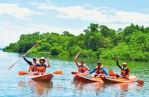 Bali Mangrove Canoeing Tour