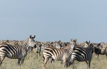 6-Day Northern Safari