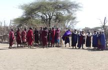 6-Day Northern Safari