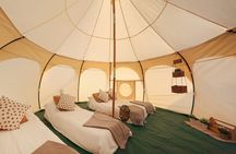 Arabian Glamping Adventure in Desert