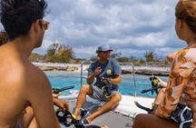 Catamaran Snorkel & BBQ Sail (cruise friendly)