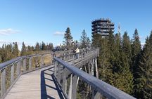 Full-Day Private Tour of Slovakia Treetop Walk and Zakopane