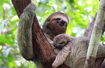 Manuel Antonio National Park