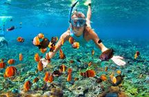 Phuket Similan Island Andaman Ocean Tour by Van and Speedboat