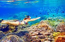 Phuket Similan Island Andaman Ocean Tour by Van and Speedboat