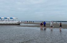 Hilton Head Dolphin Tour with Stop at Disappearing Island