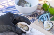 Informative Oyster Activity: Handling, Shucking & Storing + Kayaking