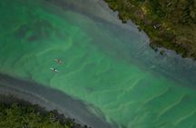 Bermagui River Kayak Tour