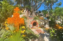 Tour Xcaret All Inclusive from Playa del Carmen - Included Transportation
