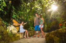 Awesome Tour Day at Xcaret Plus + Transportation from Riviera Maya