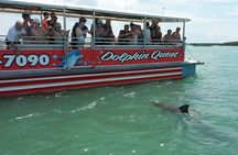 Dolphin Watching/Eco Cruise, John's Pass, Madeira Bch, FL 