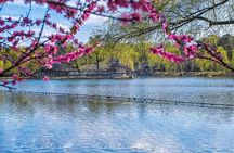 Chengde Private Day Trip from Beijing with First Class Bullet Train Experience