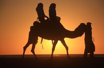 3-Day Private Sahara Desert Tour from Marrakech to Fes
