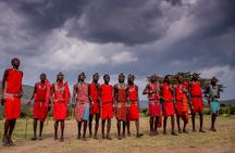 Masai Mara Game Drive 
