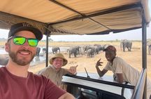 Small Group: Zambezi National Park Guided Game Drive