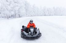 Arctic Ice Karting