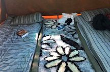 2 Nights 2days(camping in chobe national park)