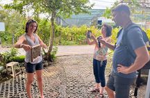 Mekong Delta Day Trip: Explore Cycling & Cooking Classes at Farm 