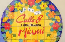 Miami and Miami Beach Private Sightseeing Tour in a Luxury Minivan