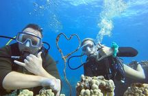 Scuba Refresh Course & Reef Dive Kaanapali