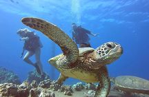 Scuba Refresh Course & Reef Dive Kaanapali