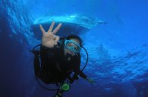 Scuba Refresh Course & Reef Dive Kaanapali