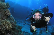 Scuba Refresh Course & Reef Dive Kaanapali