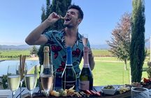Private wine tour Casablanca valley