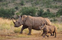 Full Day - Isimangaliso Wetlands - World Heritage Site fro Durban