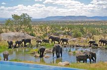 4 Day Garden Route tour from Cape Town + Addo National Park