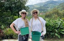 Private Half-Day Coffee Tour at Family Farm Close to Medellín!