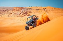 Sand Hollow Dune Tour