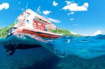 Bali Reef Cruise and Lembongan Island Day Trip