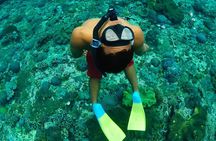 Bali Reef Cruise and Lembongan Island Day Trip